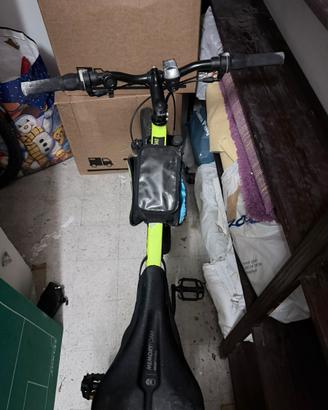 Bicicletta donna