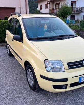 Panda II Dynamic Eco