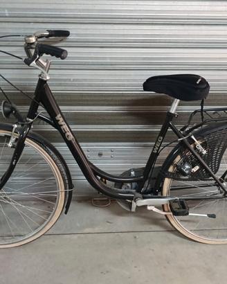 bicicletta stile olandese