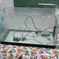 acquario