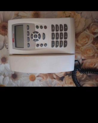 telefoni fissi 