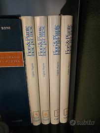 fiori & piante mese per mese