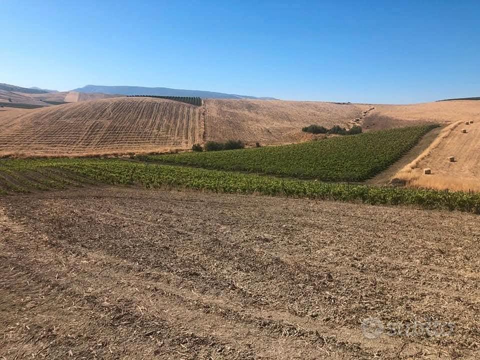 terreno agricolo - Altro