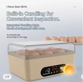 Incubatrice uova