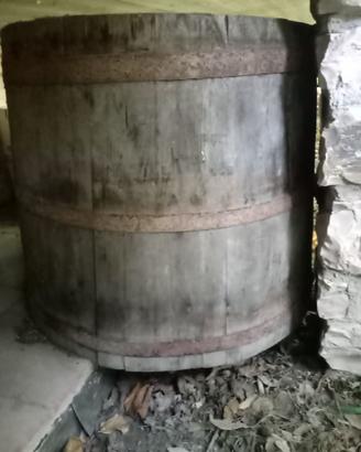 tino vinario