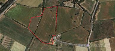 Terreno agricolo con o senza rudere