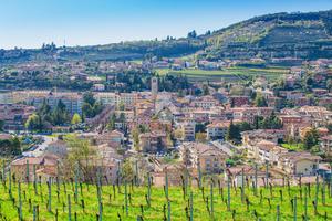 TER. RESIDENZIALE A NEGRAR DI VALPOLICELLA