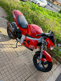 Gilera dna