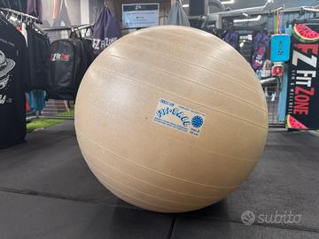 Fitball Professionali (30 pz)