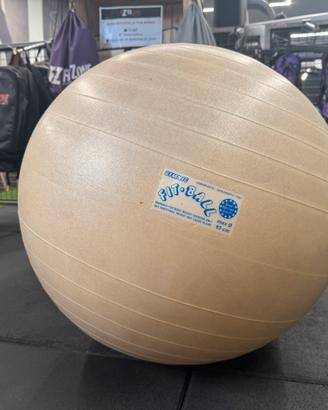 Fitball Professionali (30 pz)
