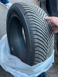 Gomme invernali Michelin Alpin 225 55 17