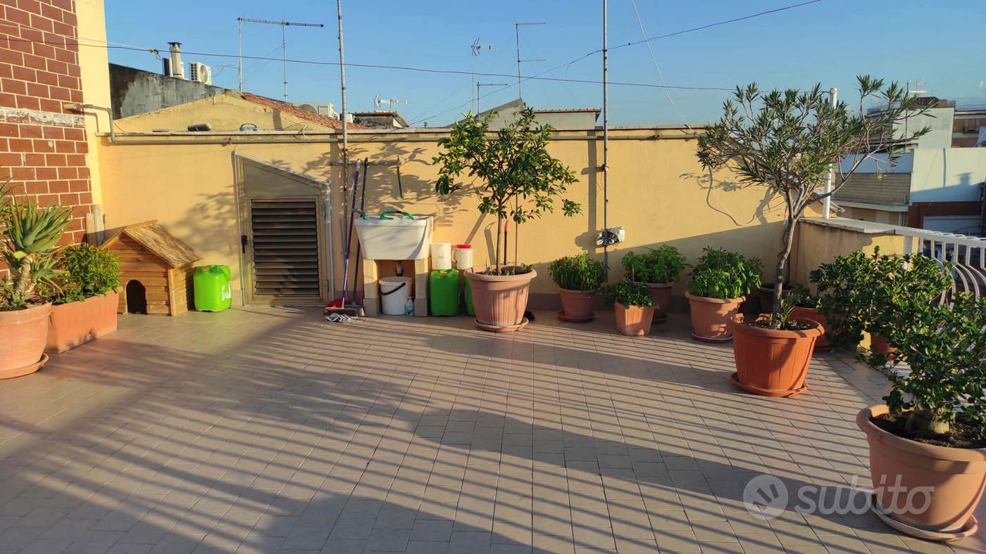 Apartment in San Severo, Foggia - Vista 4