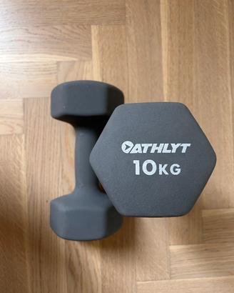 Coppia dumbell manubri  10kg