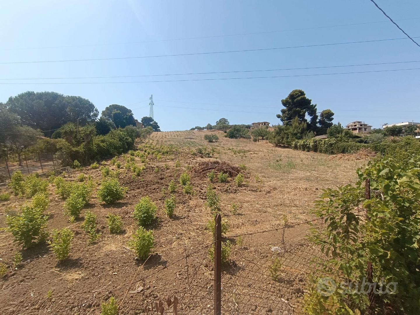 Terreno agricolo edificabile Ter/73 - Vista 3