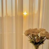 Colf, pulizie, stiro, babysitter