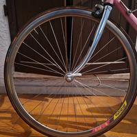 ruota profilo medio rigida dp18