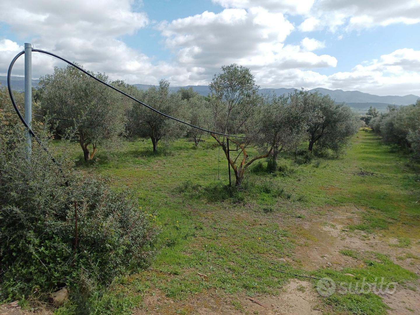 Terreno agricolo pressi Diverland - Vista 2