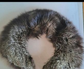 collo di volpe argentata 