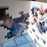 Doppio vinile Pink Floyd