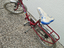 Immagine 2