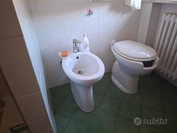 sanitari