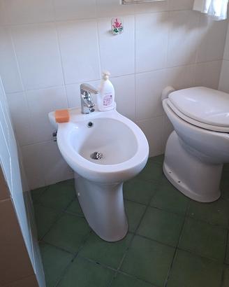 sanitari