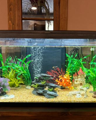 Acquario 60 litri