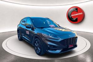 Ford Kuga 1.5 EcoBlue 120 CV aut. 2WD ST-Line
