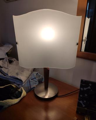 pianta e lampada 