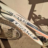 bicicletta bimba 12 anni