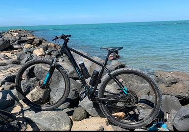 Mountain Bike  Cube Analogo 29' 