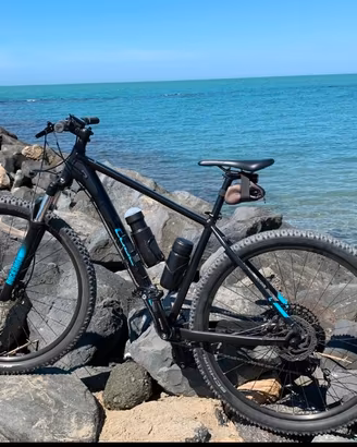 Mountain Bike  Cube Analogo 29' 
