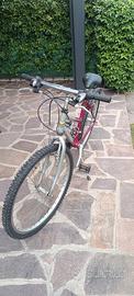bicicletta MTB