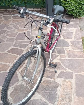 bicicletta MTB