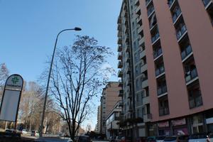 MONOLOCALE A CINISELLO BALSAMO