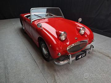 Austin Healey Altro Sprite "Frog Eye" ASI