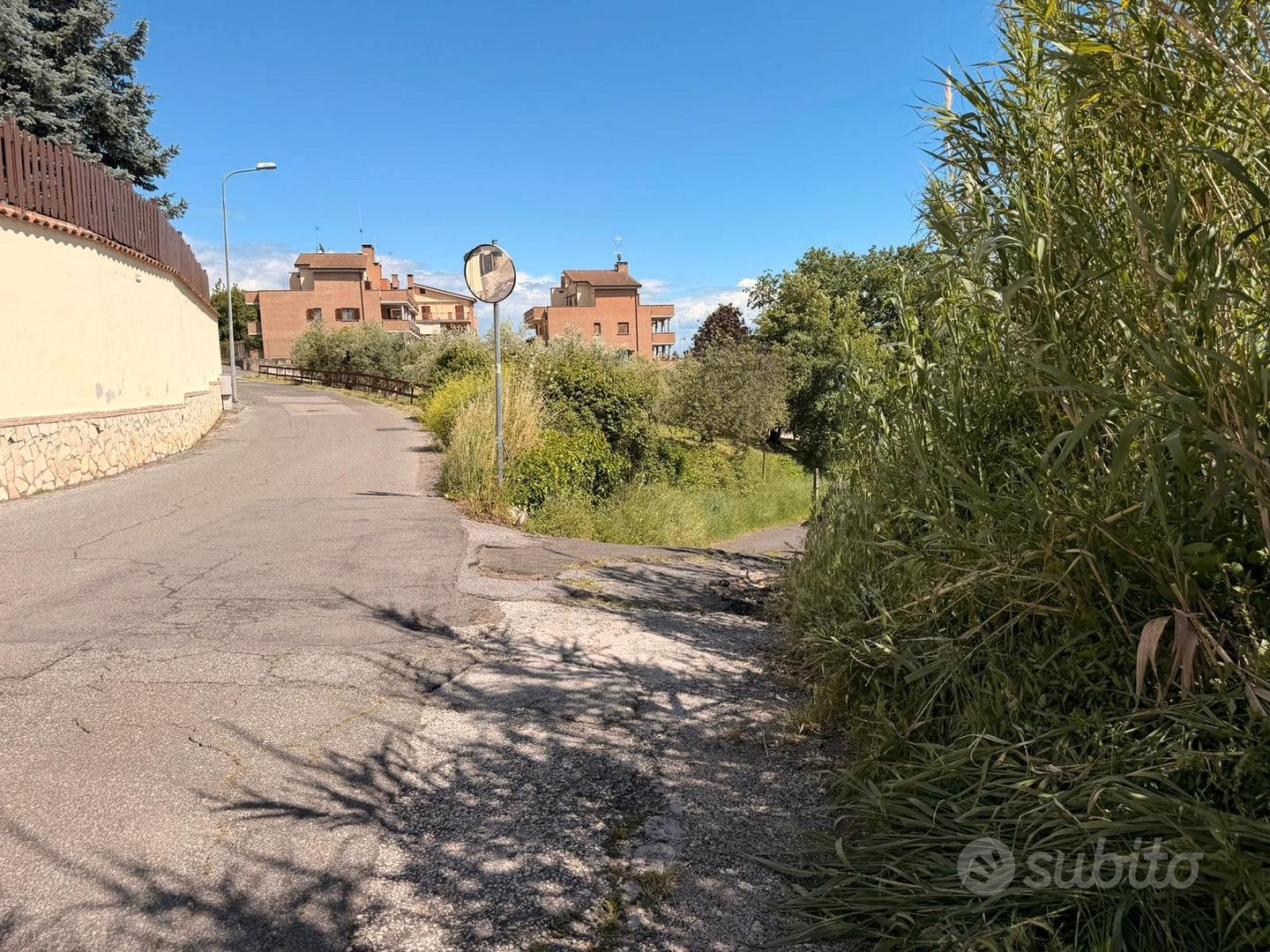 Terreno agricolo con uliveto - Altro