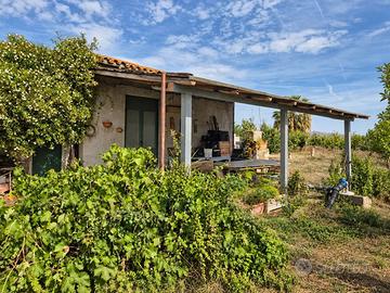 Terreno con fabbricato via delle Zagare