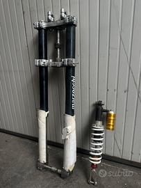 FORCELLE MARZOCCHI / MONOPOSTERIORE