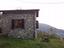 Immagine 7
