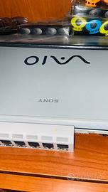 Laptop Sony Vaio grigio perfetto con moise w