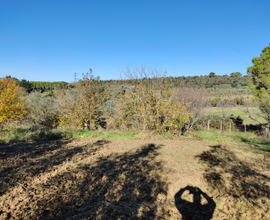 I terreno agricolo