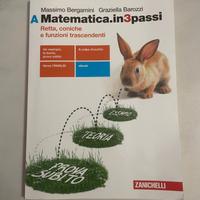 libro matematica in 3 passi