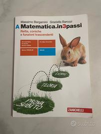 libro matematica in 3 passi