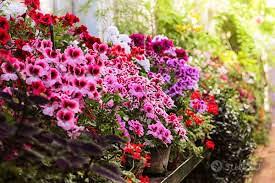 Florovivaista/fiorista