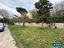 Immagine 12
