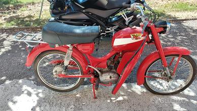 Moto Morini Corsarino Femmina - 1966