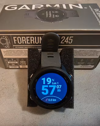 Garmin Forerunner 245 No Music