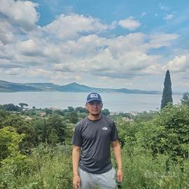 Cartongessista, stuccatore, imbianchino