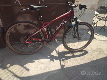 bicicletta MTB in carbonio 